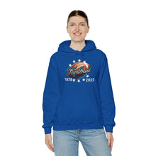 Load image into Gallery viewer, Football End Zone Unisex Hoodie