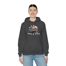 Load image into Gallery viewer, Football End Zone Unisex Hoodie