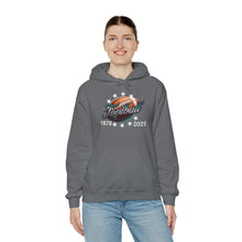 Load image into Gallery viewer, Football End Zone Unisex Hoodie