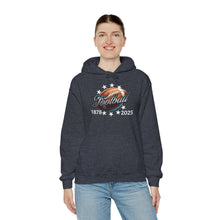 Load image into Gallery viewer, Football End Zone Unisex Hoodie