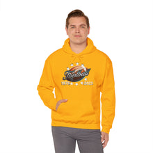 Load image into Gallery viewer, Football End Zone Unisex Hoodie