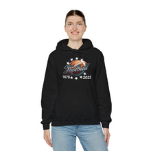 Load image into Gallery viewer, Football End Zone Unisex Hoodie