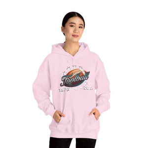 Football End Zone Unisex Hoodie